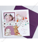 <p>Invitație de botez în nuanțe mov ce se pliază în două părți egale. Textul se imprimă în interior, avînd un design floral viu . Coperta invitației prezintă imaginea unor animăluțe, flori și se poate atașa poza bebelușului. Invitația conține plic mov.</p><p><strong>Setul poate fi completat cu:</strong></p><p>•&nbsp;&nbsp;&nbsp;&nbsp;&nbsp;&nbsp;&nbsp;&nbsp; Aranjare la mese;</p><p>•&nbsp;&nbsp;&nbsp;&nbsp;&nbsp;&nbsp;&nbsp;&nbsp; Cartea de urări;</p><p>•&nbsp;&nbsp;&nbsp;&nbsp;&nbsp;&nbsp;&nbsp;&nbsp; Plic de bani;</p><p>•&nbsp;&nbsp;&nbsp;&nbsp;&nbsp;&nbsp;&nbsp;&nbsp; Număr la masă etc.</p><p>•&nbsp;&nbsp;&nbsp;&nbsp;&nbsp;&nbsp;&nbsp;&nbsp; Bomboniera;</p><p>•&nbsp;&nbsp;&nbsp;&nbsp;&nbsp;&nbsp;&nbsp;&nbsp; Cutie pentru colaci;</p><p>•&nbsp;&nbsp;&nbsp;&nbsp;&nbsp;&nbsp;&nbsp;&nbsp; Cutie pentru bani.</p><p>&nbsp;</p>