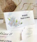 <p>Card de masă pentru nuntă sau alte evenimente, în interiorul căruia este un compartiment (buzunărel) care poate fi folosit ca plic pentru bani.</p><p><strong>Dacă faceţi invitaţiile la noi, la plicuri beneficiaţi &nbsp;10% reducere.</strong></p>