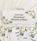 <p>Card de masă(plic) pentru nuntă sau alte evenimente, în interiorul căruia este un compartiment (buzunărel) care poate fi folosit ca plic pentru bani.</p><p><strong>Dacă faceţi invitaţiile la noi, la plicuri beneficiaţi &nbsp;10% reducere.</strong></p>