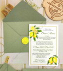 <p>Invitaţie la nunta, cu tematica "Lemon", compus din cartonaş invitaţie de nunta (carton alb mat), plic alb accesorizat cu ştampilă(sigiliu)alb.</p><p><strong>Setul poate fi completat cu:</strong></p><p>• Aranjare la mese;</p><p>• Plic de bani;</p><p>• Număr la masă etc.</p><p>Aceste componente pot fi сomandate atât în set cât şi separat.&nbsp;</p><p><strong>ATENŢIE: </strong>În dependenţă de tipul hârtiei, complexitatea modelului şi componentele alese, preţul poate varia.&nbsp;</p><p>Orice idee poate fi realizată !!!</p>