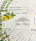 <p>Card de masă(plic) pentru nuntă sau alte evenimente, în interiorul căruia este un compartiment (buzunărel) care poate fi folosit ca plic pentru bani.</p><p><strong>Dacă faceţi invitaţiile la noi, la plicuri beneficiaţi &nbsp;10% reducere.</strong></p>