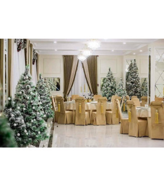 Petreceri de iarnă la Saint Tropez Banquet Hall!